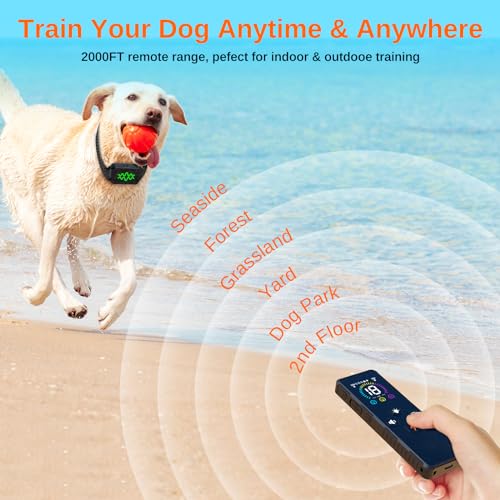 Fluffee RC09 Dog Training Collar with Remote, 3 Modes, IPX7 Waterproof U148570