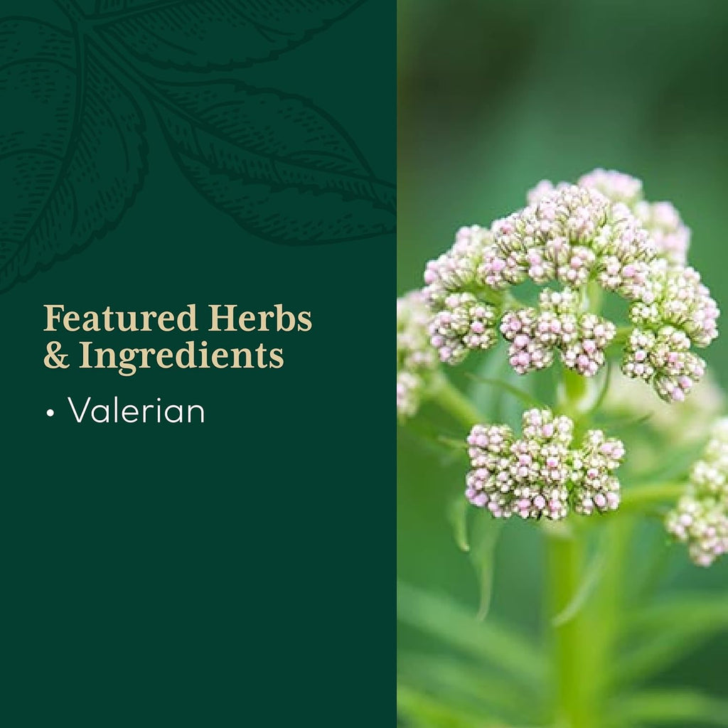 Gaia Herbs Pro Valerian Valerian Root Capsules 60 Vegan Liquid Phyto-Capsules H28104