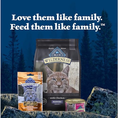 Blue Buffalo Wilderness Natural High-Protein Grain-Free Wet Cat Food Salmon Paté, 3-oz. Cans, 24 Count S6271
