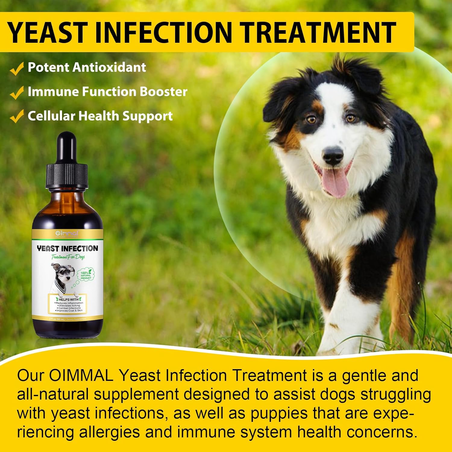 Yeast Infection Treatment for Dogs, Natural Ear Infection & Skin Itch Relief R390