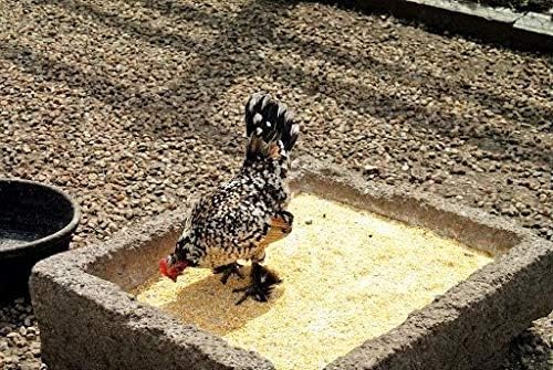 Cracked Corn Feed for Birds, Poultry, Deer, Wildlife 5 lb Z5702
