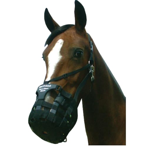 Deluxe Have a Heart Grazing Muzzle for Horses, Padded Noseband, Adjustable V Strap, Large C148
