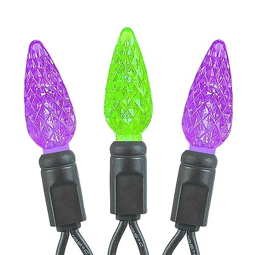 Novelty Lights 24ft 70 LED Purple/Lime Green Halloween String Lights L643884