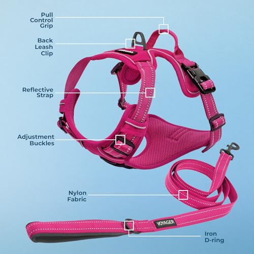 Voyager Dog Harness No-Pull Adjustable Reflective Pet Harness for Medium and Large Dogs - Purple Lattice, XS F50831