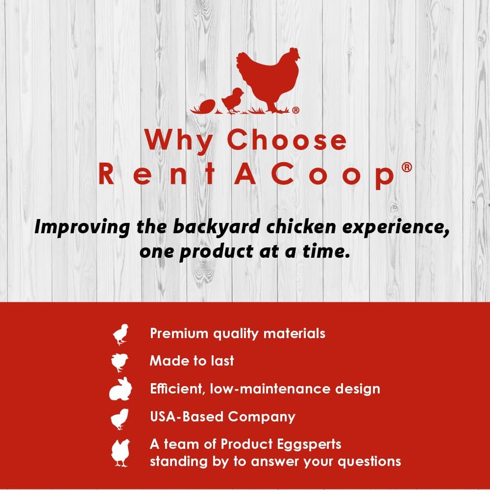 RentACoop Big Red Barn Chick Brooder Set with Heating Plate C34419