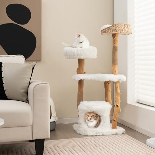 Tangkula Cat Tree for Indoor Cats, Solid Wood with Scratching Posts, 34 Inch Q6529