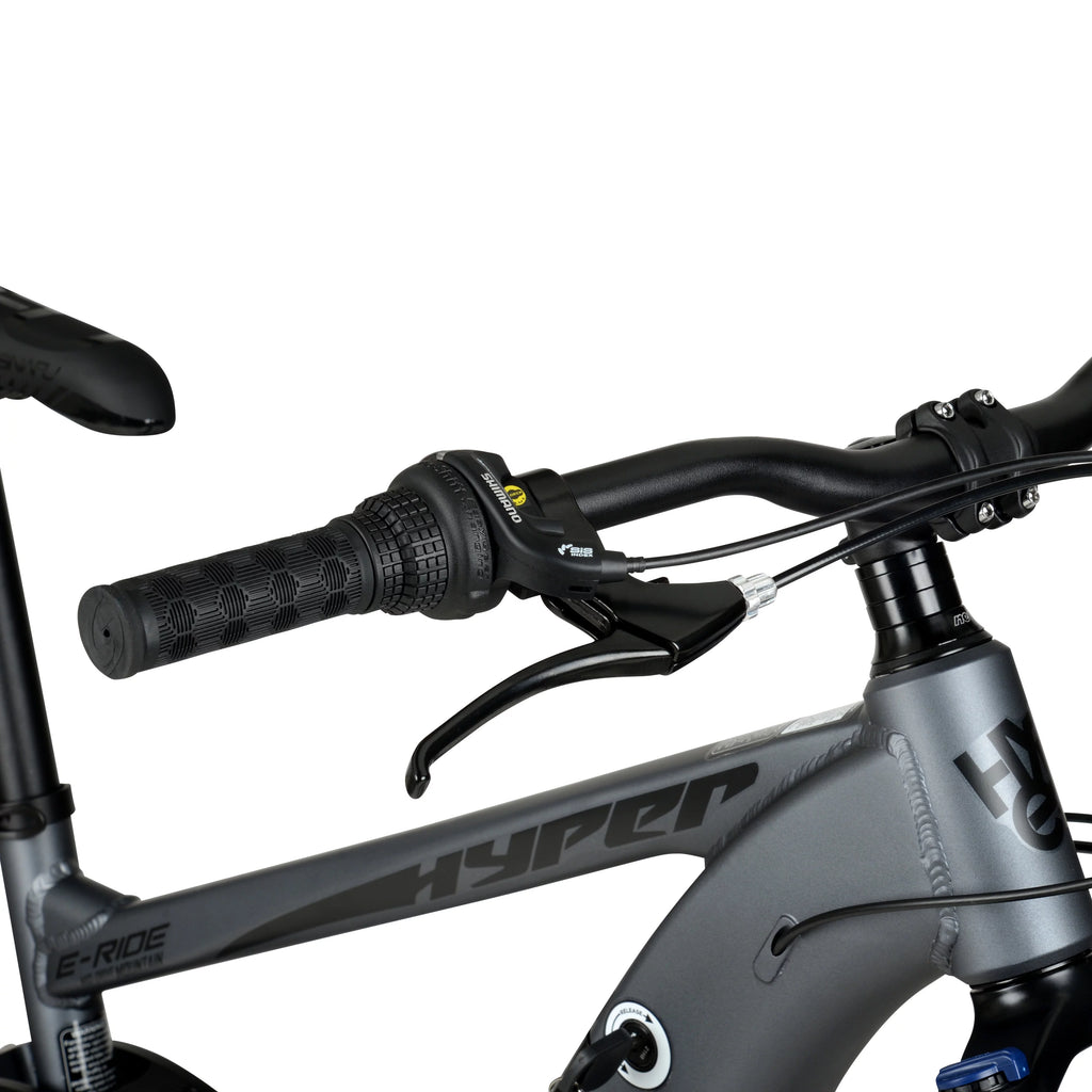 Hyper Bicycles E-Ride 29" 36V Electric Mountain Bike for Adults, Grey N5618
