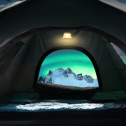 Instant Pop Up Tent for Camping 2-3 Person Waterproof O594456
