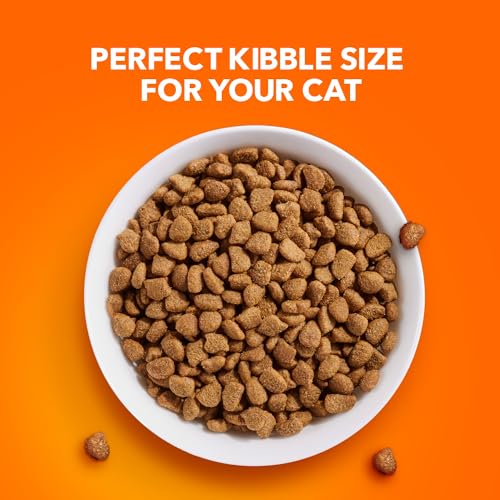 IAMS PROACTIVE HEALTH Adult Indoor Weight Control & Hairball Care Dry Cat Food with Chicken & Turkey, 7 lb. Bag G11740