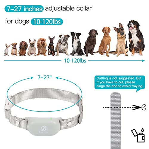 Bousnic Dog Training Collar with Remote - Waterproof Rechargeable for Small to Large Dogs M220