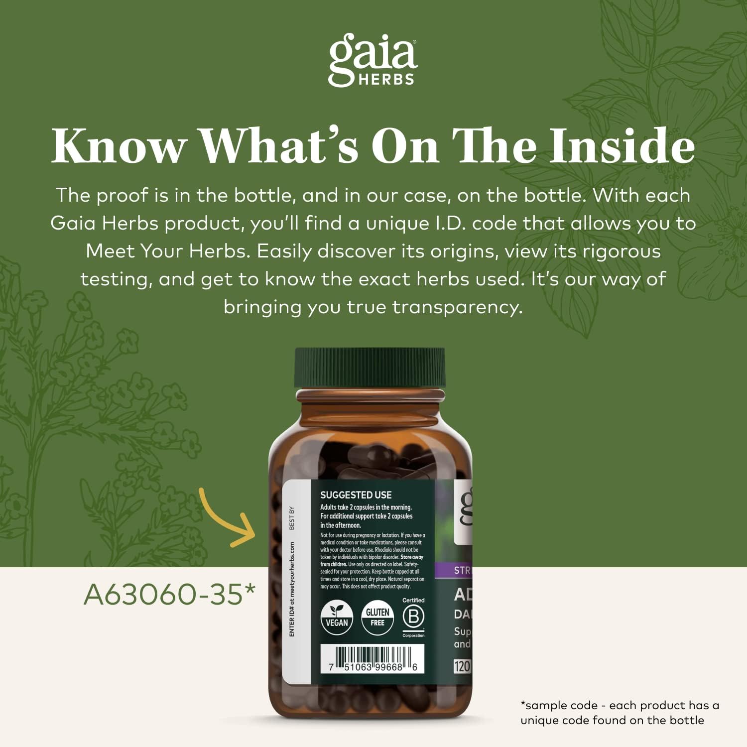 Gaia Herbs Oil of Oregano & Black Seed Oil - 60 Vegan Liquid Phyto-Capsules D24458
