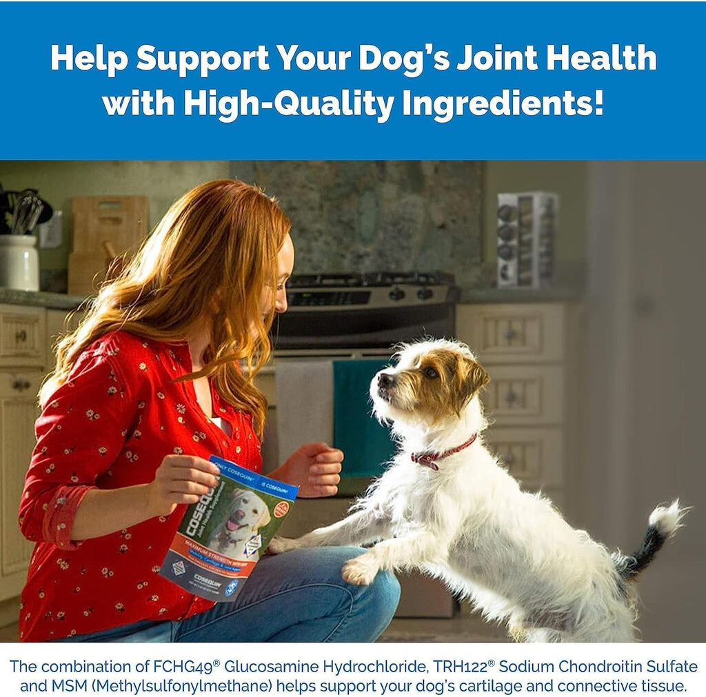 Cosequin MSM Joint Health Supplement for Dogs, 180 Chewable Tablets N527