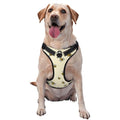 Reflective and Adjustable for Gothic Magic Mushrooms Dog Harness for Small to Medium Pets, Ideal for Walking and Running