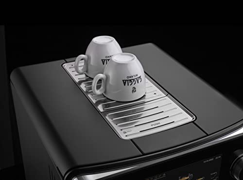 Gaggia Accademia Luxury Italian Fully Automatic Espresso Machine, Brushed Stainless G741