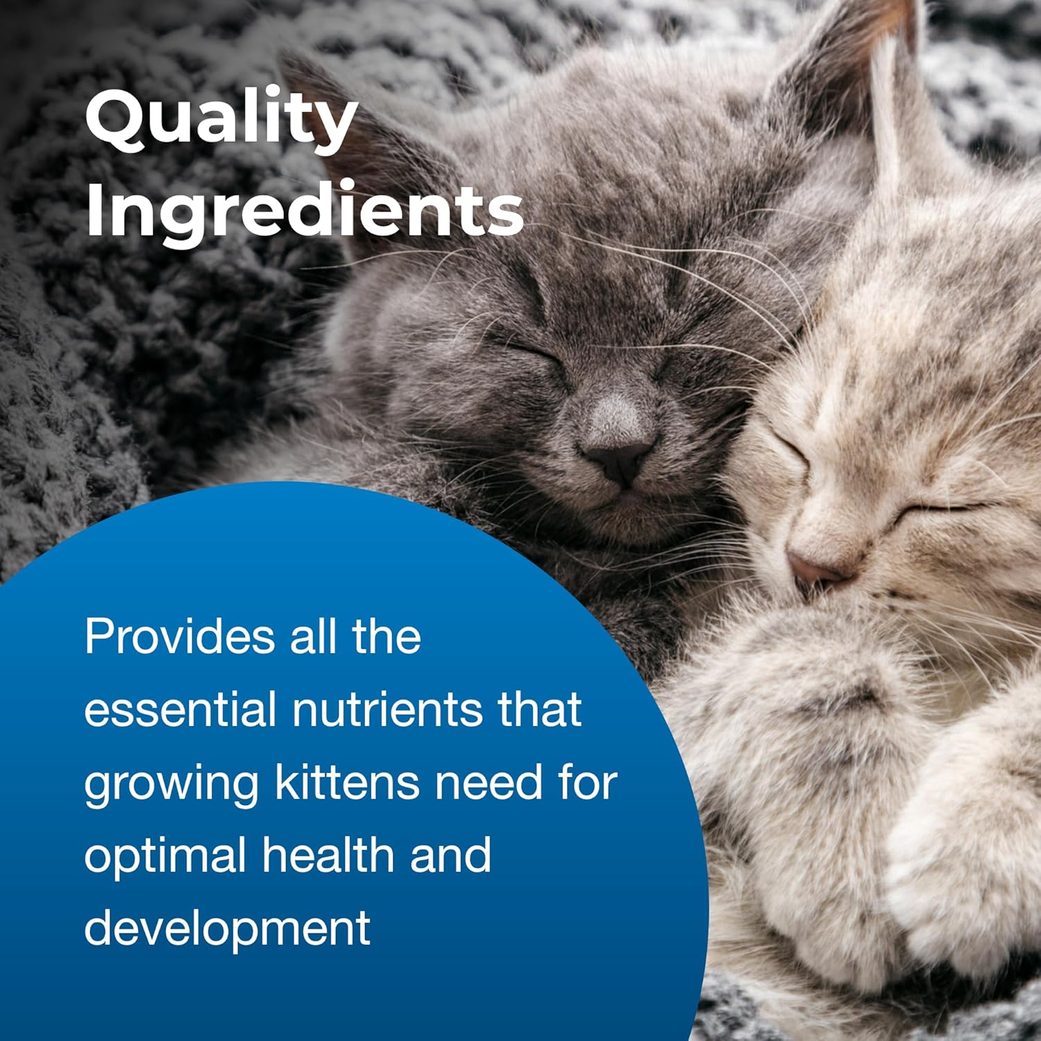 Pet-Ag KMR Kitten Milk Replacer Liquid 11 oz E199