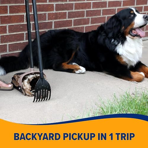Arm & Hammer Pooper Scooper Swivel Bin & Rake with Petmate Poop Bags 20 Count V15908