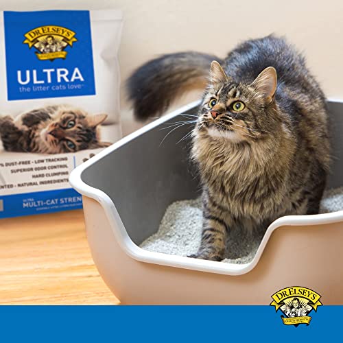 Dr. Elsey's Precious Cat Ultra Premium Cat Litter, 20-Pound Q171682