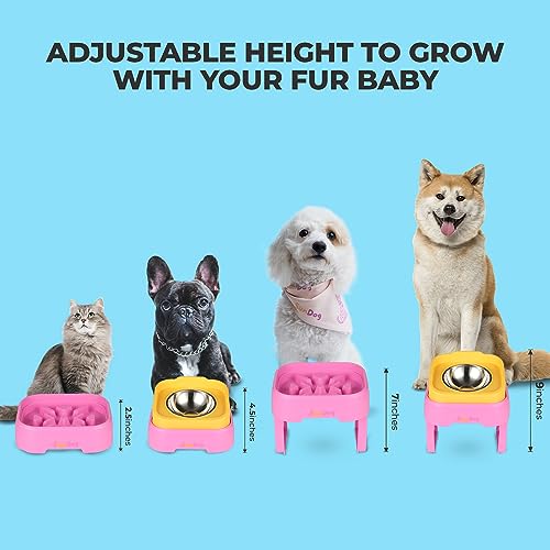 SunDog 2-in-1 Elevated Slow Feeder Dog Bowls with Stand, Stainless Steel, for Small Dogs and Cats A73286