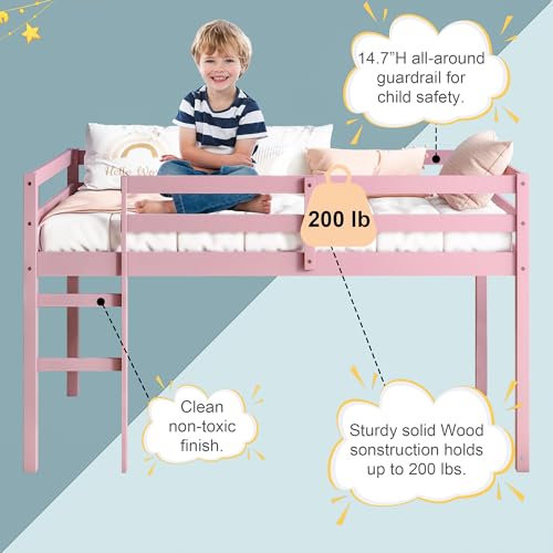 Twin Size Low Loft Bed with Ladder and Safety Guardrail, Solid Wood, White D5235