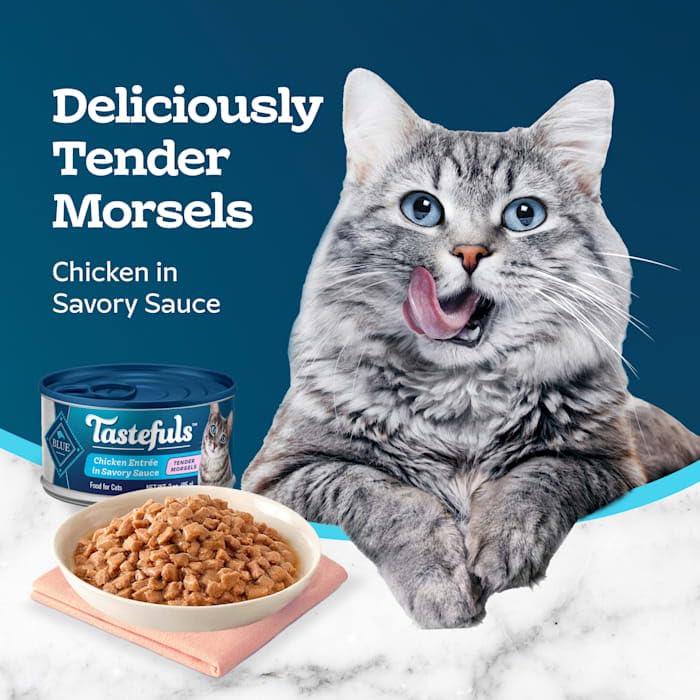 Blue Buffalo Tastefuls Natural Tender Morsels Wet Cat Food Chicken Entrée, 5.5-oz cans (24-pack) S7931