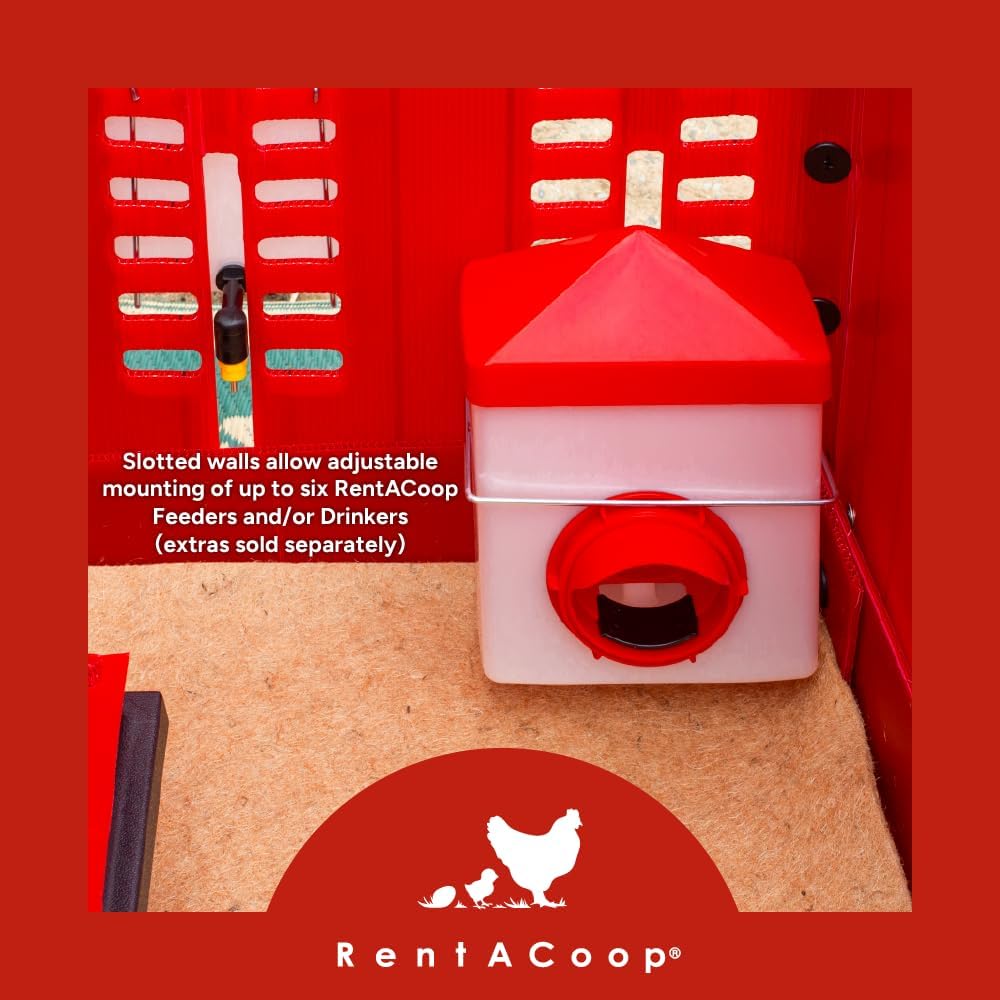 RentACoop Big Red Barn Chick Brooder Set with Heating Plate C34419