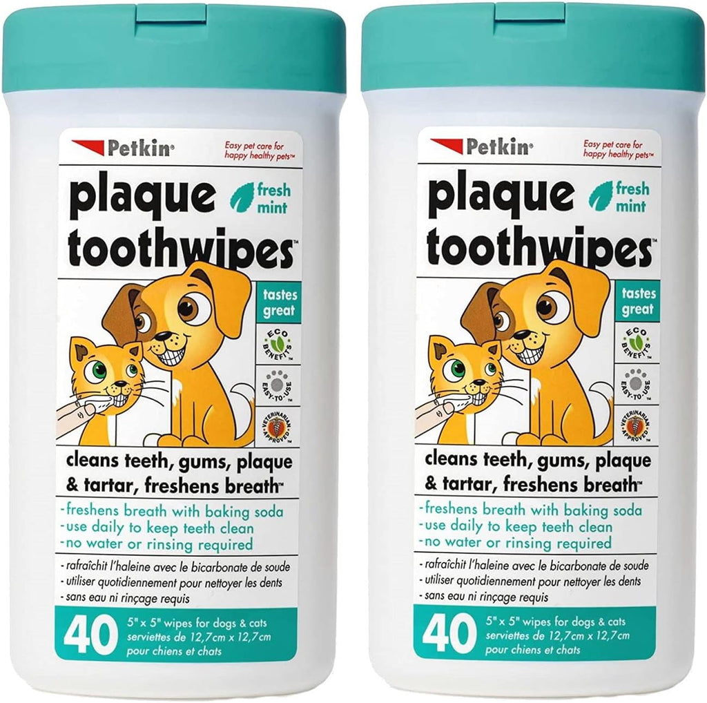 Petkin Cat and Dog Dental Wipes, 80 Wipes (Fresh Mint) - Natural Formula Cleans Teeth, Gums & Freshens Breath - for Daily Use - Convenient Dog Dental Care - 2 Packs of 40 WIpes (80 Wipes Total)