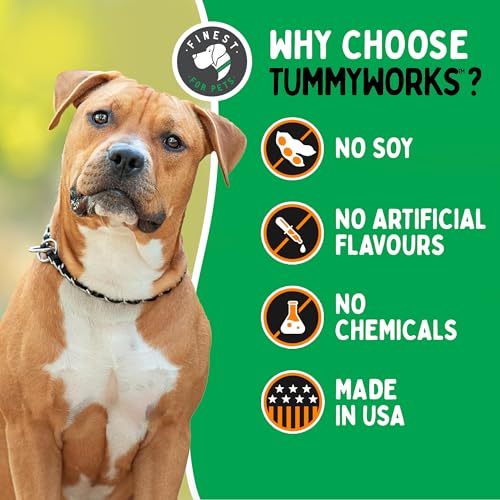 TummyWorks Probiotic 120 Soft Chews for Dogs, Digestive Health Support, Made in USA V4527