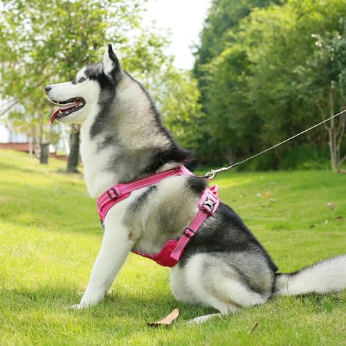 Voyager Dog Harness No-Pull Adjustable Reflective Pet Harness for Medium and Large Dogs - Purple Lattice, XS F50831