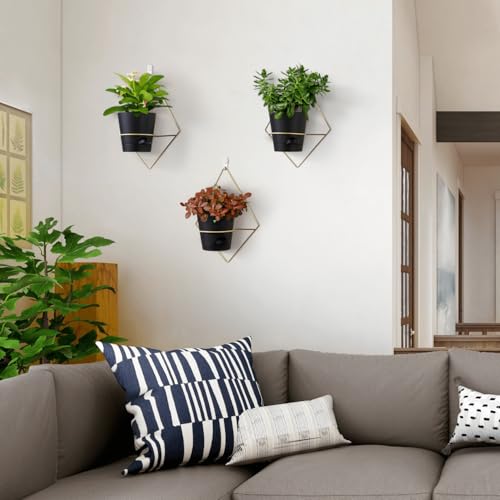 3 Sets Black Hanging Wall Planters for Indoor Plants with Self-Watering H953230