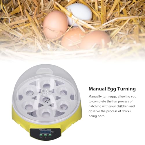 Mini Egg Incubator 7 Eggs with Temperature Control, Poultry Hatcher Machine E67862
